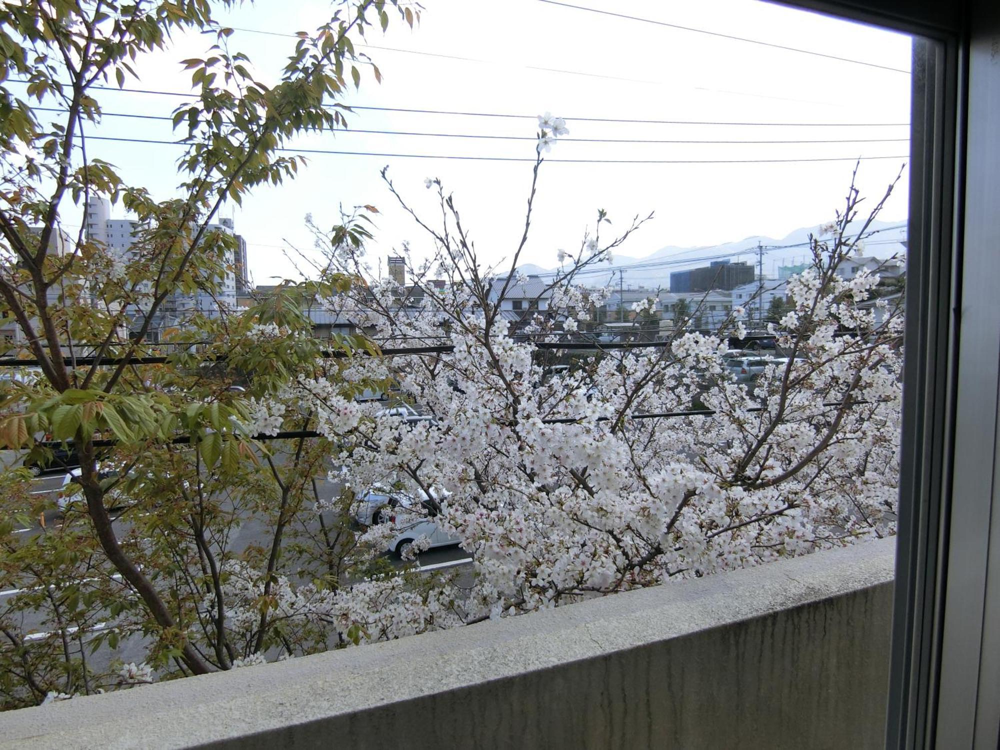 Simple Stay Beppu Room photo